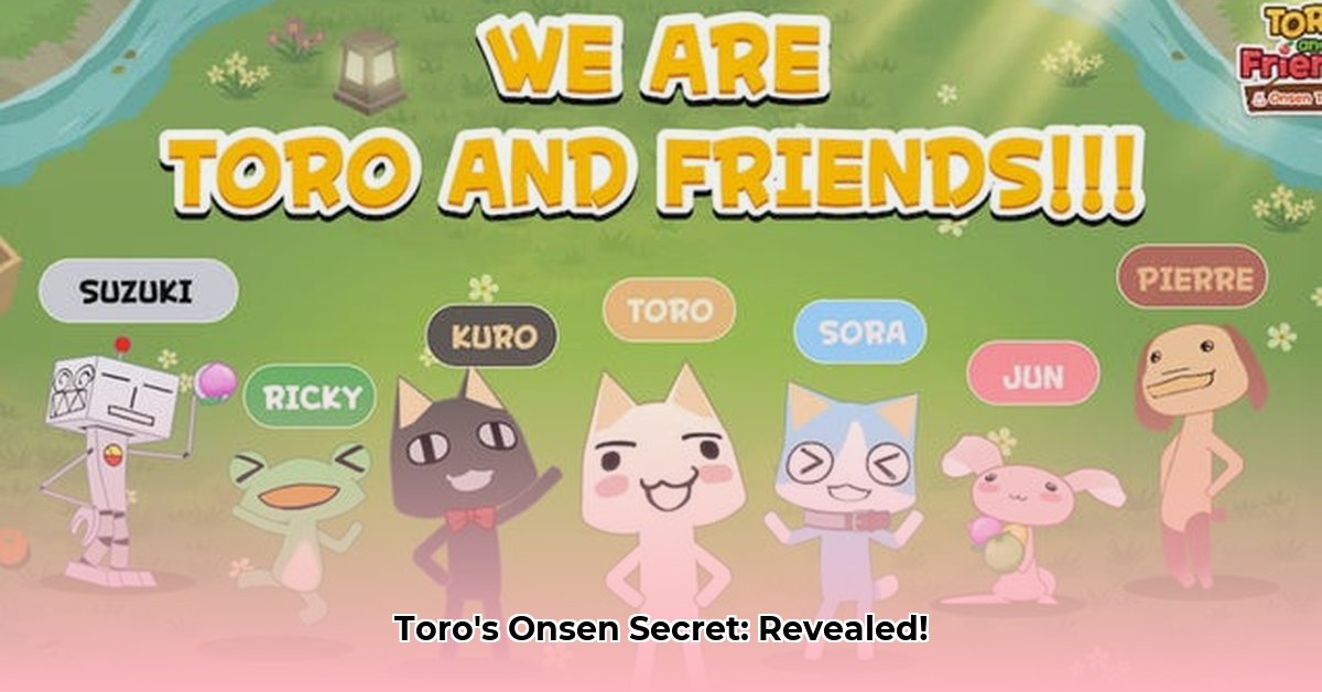toro-and-friends-onsen-town